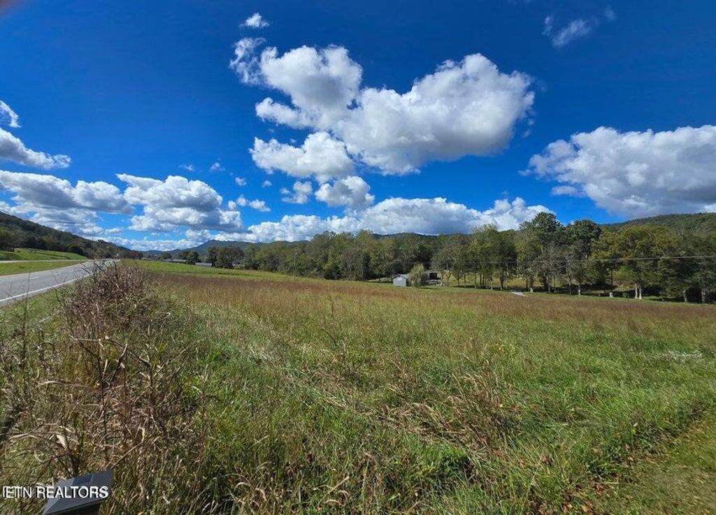 Photo of 20377 Wilderness Rd, Rose Hill, VA 24281 (MLS # 1326011)