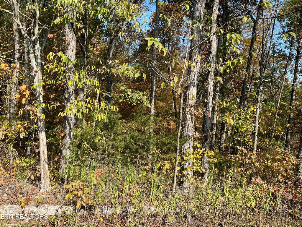 Photo of 269 Elohi Way Way, Loudon, TN 37774 (MLS # 1316972)