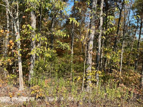 269 Elohi Way Loudon TN 37774