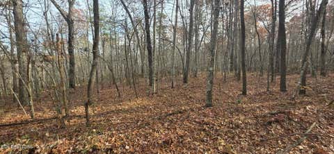 Photo of 25 Down Place, Monterey, TN 38574 (MLS # 1352682)