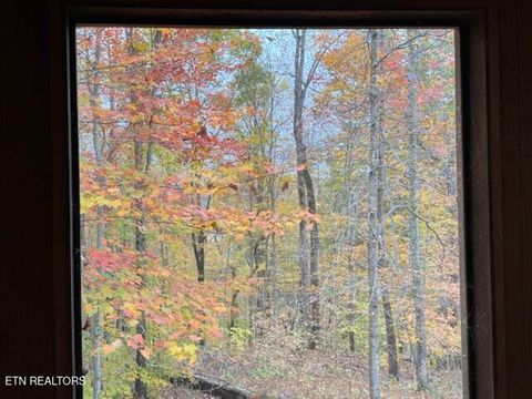 Tiny photo for 2389 Shady Cove Rd, Caryville, TN 37714 (MLS # 1320391)