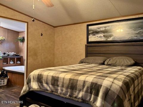 Tiny photo for 2389 Shady Cove Rd, Caryville, TN 37714 (MLS # 1320391)