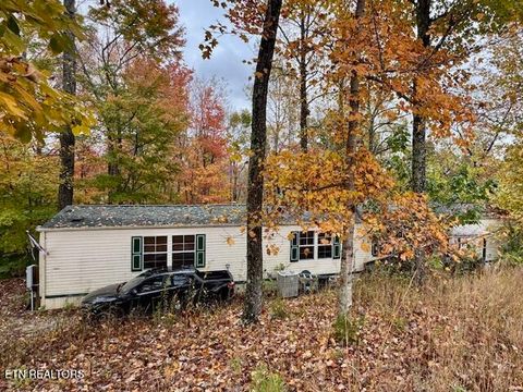 Photo of 2389 Shady Cove Rd, Caryville, TN 37714 (MLS # 1320391)