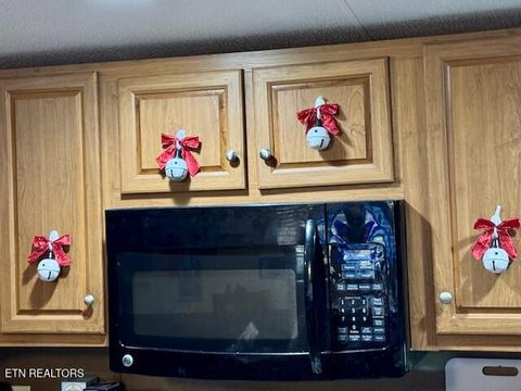 Tiny photo for 2389 Shady Cove Rd, Caryville, TN 37714 (MLS # 1320391)