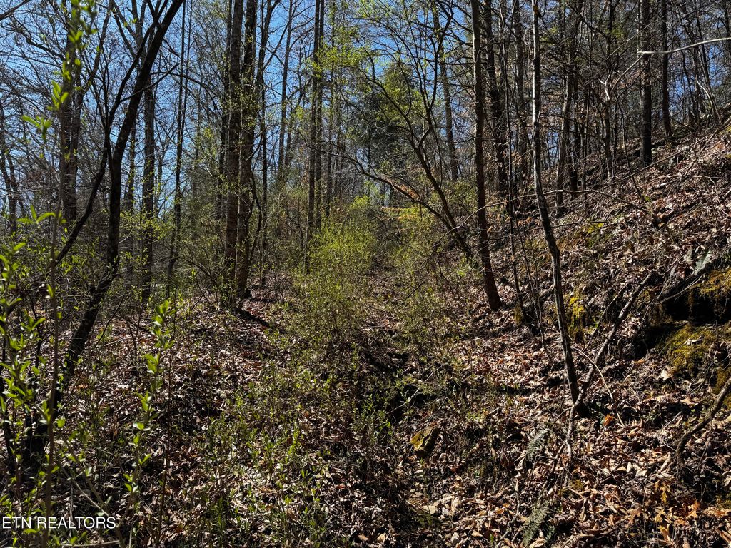 Photo of Melvin Hollow Rd, Pioneer, TN 37847 (MLS # 1305420)