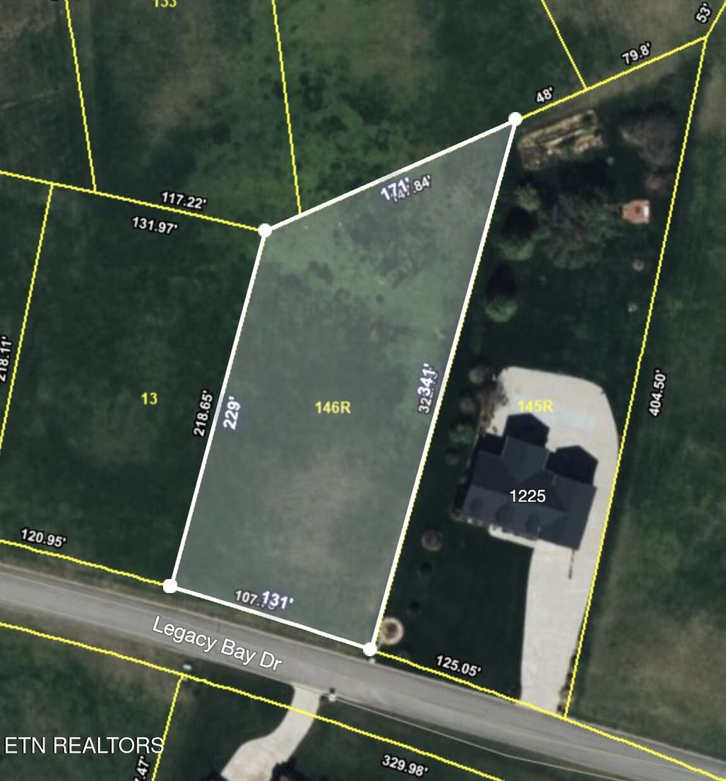 Photo of 1221 Legacy Bay Dr, Mooresburg, TN 37811 (MLS # 1307571)