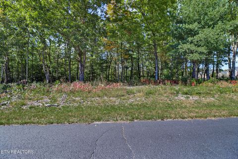 Photo of Houston Drive, Crossville, TN 38555 (MLS # 1319384)