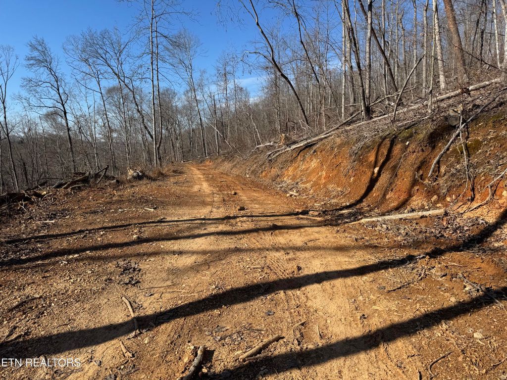 Photo of 136 Toby Hollow Lane, Knoxville, TN 37931 (MLS # 1286242)