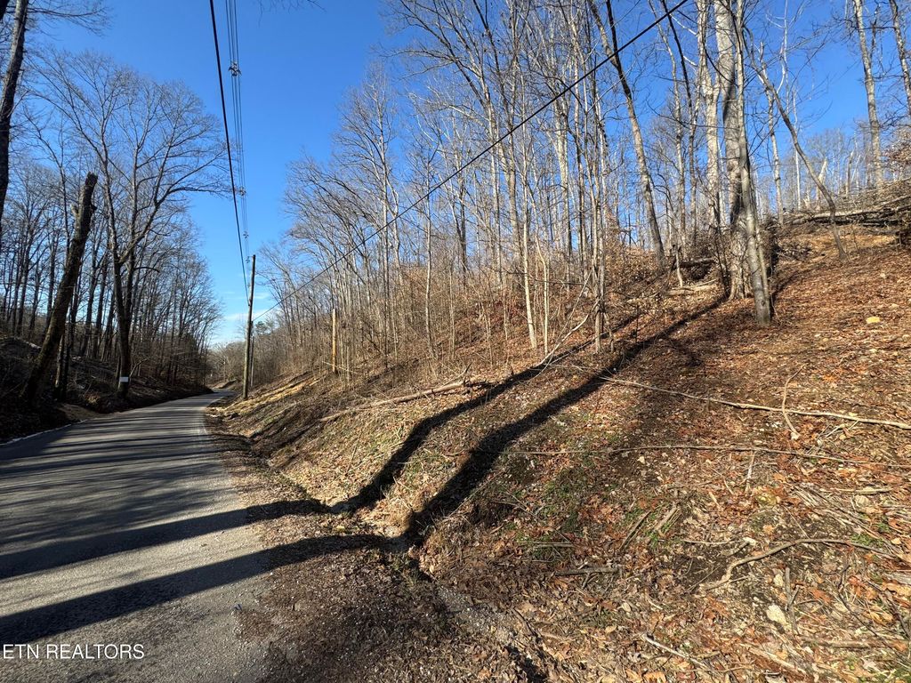 Photo of 136 Toby Hollow Lane, Knoxville, TN 37931 (MLS # 1286242)