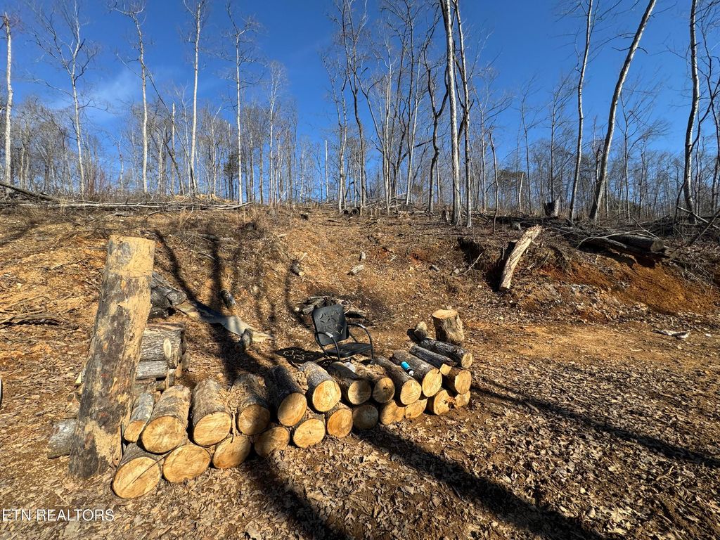 Photo of 136 Toby Hollow Lane, Knoxville, TN 37931 (MLS # 1286242)