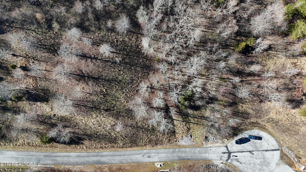 Photo of Emerald Lane, Rockwood, TN 37854 (MLS # 1292141)