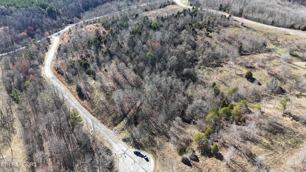 Photo of Emerald Lane, Rockwood, TN 37854 (MLS # 1292141)