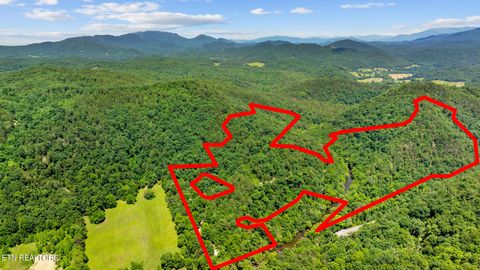 000 Brandy Way Sevierville TN 37876