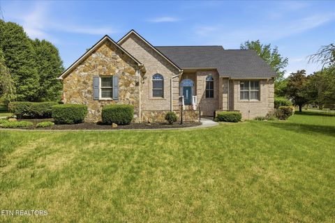 Photo of 169 Perkins Lane, Jacksboro, TN 37757 (MLS # 1337385)