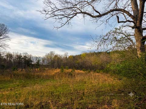 Tiny photo for 0 Pin Hook Rd, Spring City, TN 37381 (MLS # 1347630)