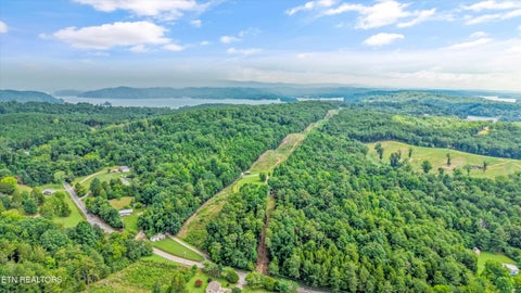 Tiny photo for 0 Pin Hook Rd, Spring City, TN 37381 (MLS # 1347630)