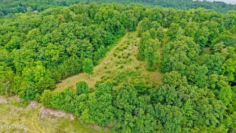 Tiny photo for 0 Pin Hook Rd, Spring City, TN 37381 (MLS # 1347630)