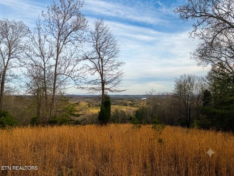 Tiny photo for 0 Pin Hook Rd, Spring City, TN 37381 (MLS # 1347630)