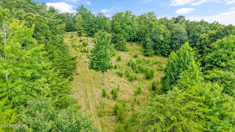 Tiny photo for 0 Pin Hook Rd, Spring City, TN 37381 (MLS # 1347630)