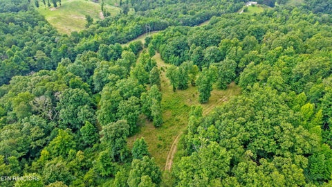 Tiny photo for 0 Pin Hook Rd, Spring City, TN 37381 (MLS # 1347630)