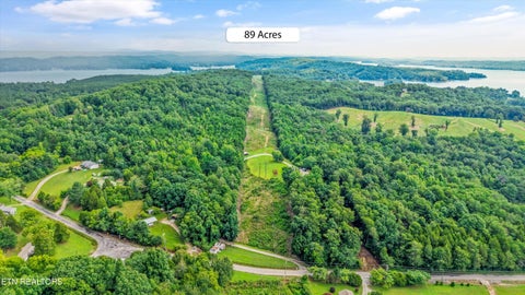 Tiny photo for 0 Pin Hook Rd, Spring City, TN 37381 (MLS # 1347630)