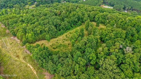 Tiny photo for 0 Pin Hook Rd, Spring City, TN 37381 (MLS # 1347630)