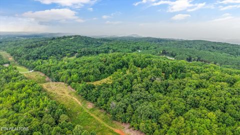 Tiny photo for 0 Pin Hook Rd, Spring City, TN 37381 (MLS # 1347630)