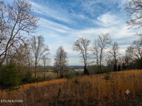 Tiny photo for 0 Pin Hook Rd, Spring City, TN 37381 (MLS # 1347630)