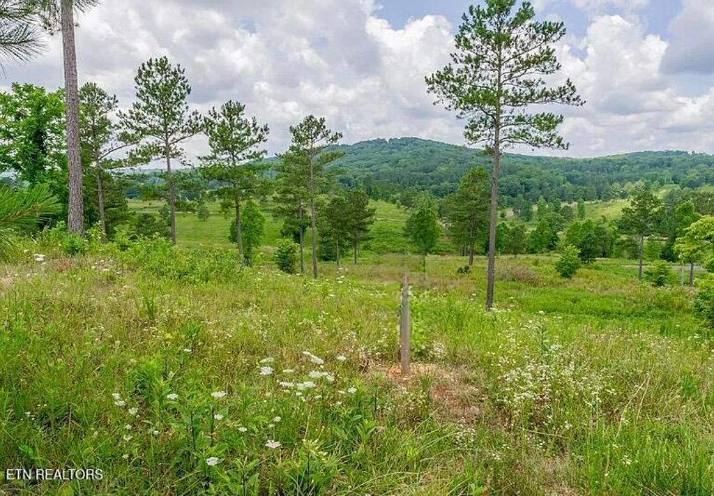 Photo of 915 Eagle Nest Drive, Loudon, TN 37774 (MLS # 1328570)