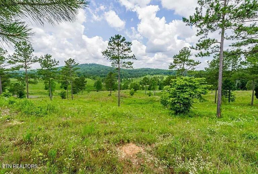 Photo of 915 Eagle Nest Drive, Loudon, TN 37774 (MLS # 1328570)