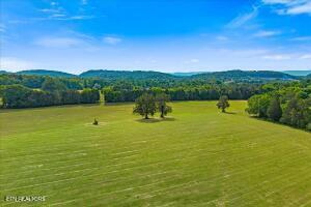 Photo of 21 County Road 675, Riceville, TN 37370 (MLS # 1342278)