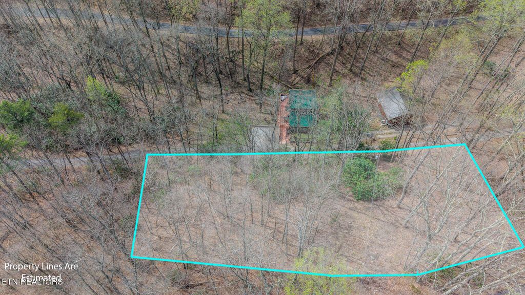 Photo of Bluff Mountain Rd, Sevierville, TN 37862 (MLS # 1331990)