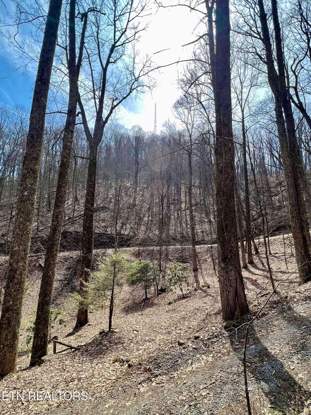 Photo of Bluff Mountain Rd, Sevierville, TN 37862 (MLS # 1331990)