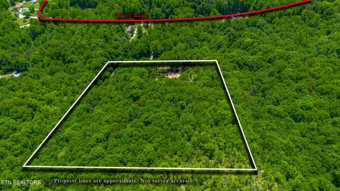 Tiny photo for 741 Bazel Rd, Harriman, TN 37748 (MLS # 1341098)