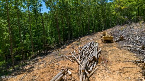 Tiny photo for 741 Bazel Rd, Harriman, TN 37748 (MLS # 1341098)