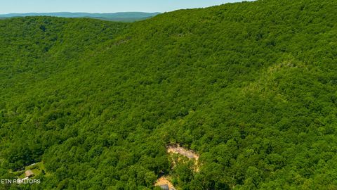 Tiny photo for 741 Bazel Rd, Harriman, TN 37748 (MLS # 1341098)