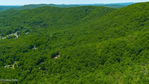 Tiny photo for 741 Bazel Rd, Harriman, TN 37748 (MLS # 1341098)