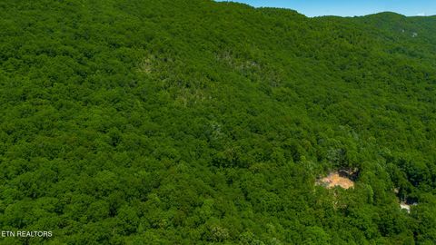 Tiny photo for 741 Bazel Rd, Harriman, TN 37748 (MLS # 1341098)