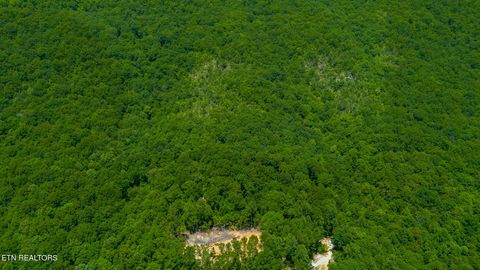 Tiny photo for 741 Bazel Rd, Harriman, TN 37748 (MLS # 1341098)