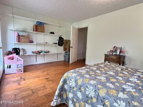 Tiny photo for 275 Haven Lane Ln, LaFollette, TN 37766 (MLS # 1317252)