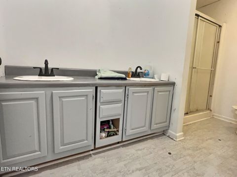 Tiny photo for 275 Haven Lane Ln, LaFollette, TN 37766 (MLS # 1317252)