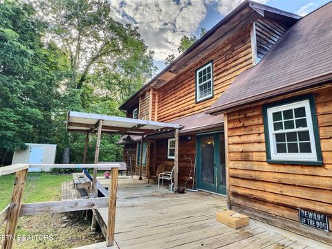 Tiny photo for 275 Haven Lane Ln, LaFollette, TN 37766 (MLS # 1317252)