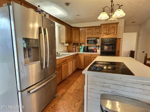 Tiny photo for 275 Haven Lane Ln, LaFollette, TN 37766 (MLS # 1317252)
