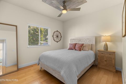 Tiny photo for 2225 Ted Moore Rd, Dandridge, TN 37725 (MLS # 1335288)