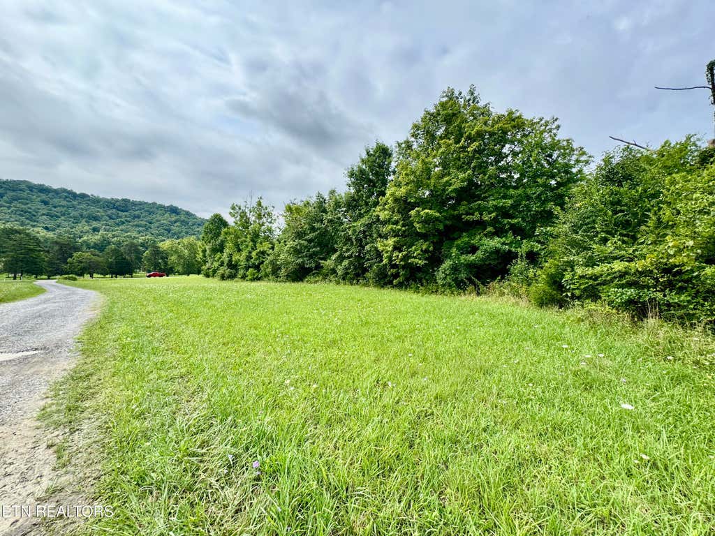 Photo of 1717 W Raccoon Valley Drive, Heiskell, TN 37754 (MLS # 1349916)