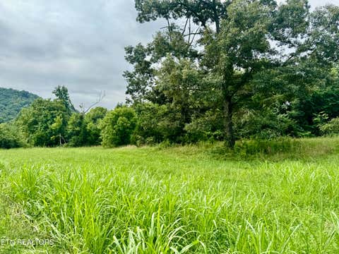 Tiny photo for 1717 W Raccoon Valley Drive, Heiskell, TN 37754 (MLS # 1349916)