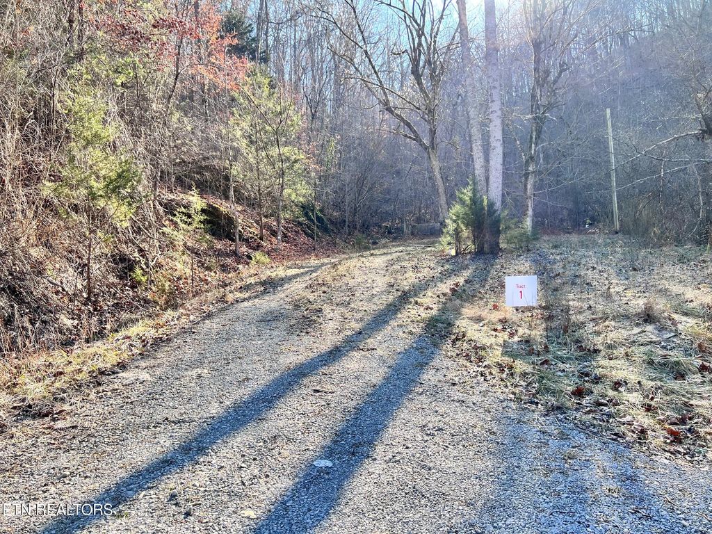 Photo of 1 Bundren Mountain Rd, Tazewell, TN 37879 (MLS # 1285988)