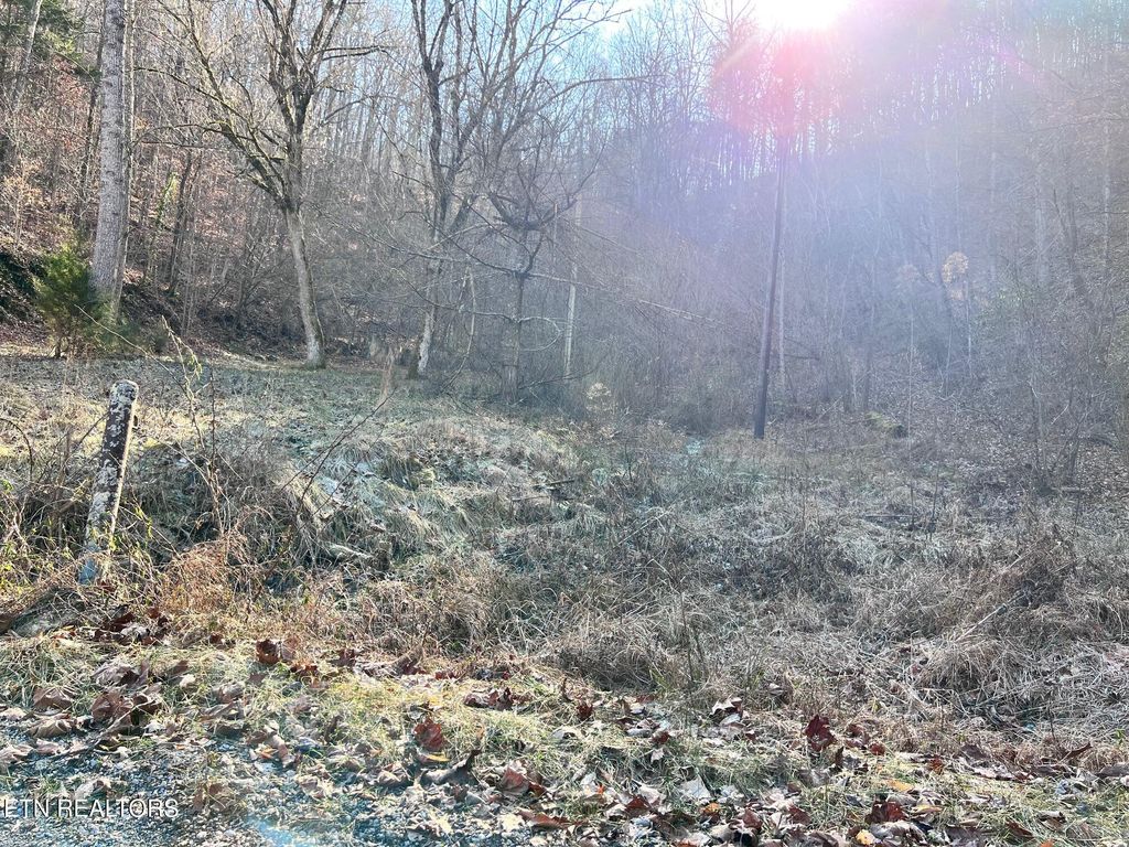 Photo of 1 Bundren Mountain Rd, Tazewell, TN 37879 (MLS # 1285988)