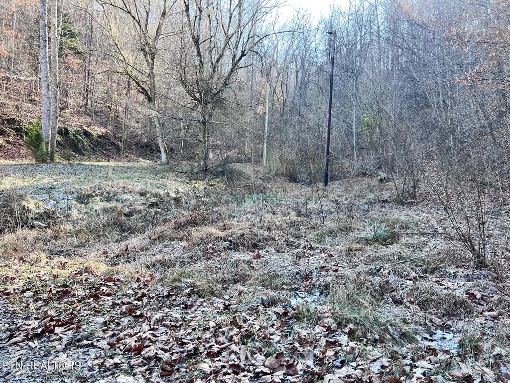Photo of 1 Bundren Mountain Rd, Tazewell, TN 37879 (MLS # 1285988)
