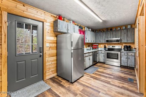 Tiny photo for 901 Sunrise Blvd, Sevierville, TN 37862 (MLS # 1327582)